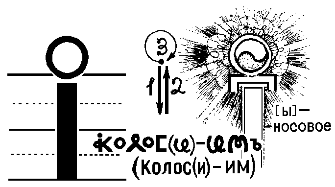 Им