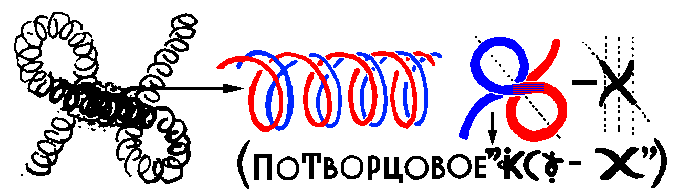 Биокарман-цв