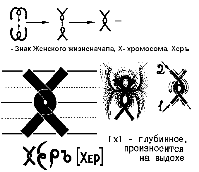 Херъ